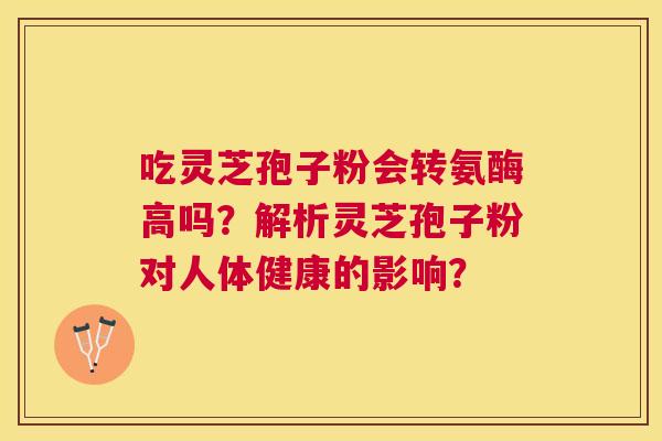吃灵芝孢子粉会转氨酶高吗？解析灵芝孢子粉对人体健康的影响？