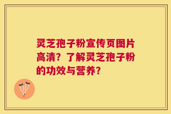 灵芝孢子粉宣传页图片高清？了解灵芝孢子粉的功效与营养？