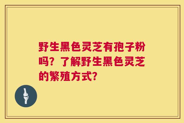 野生黑色灵芝有孢子粉吗？了解野生黑色灵芝的繁殖方式？