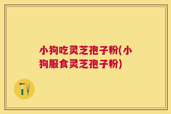 小狗吃灵芝孢子粉(小狗服食灵芝孢子粉) 小狗吃灵芝孢子粉(小狗服食灵芝孢子粉)