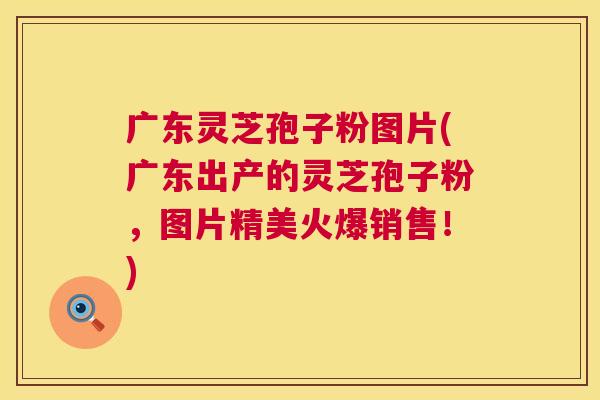 广东灵芝孢子粉图片(广东出产的灵芝孢子粉,图片精美火爆销售!) 广东灵芝孢子粉图片(广东出产的灵芝孢子粉,图片精美火爆销售!)