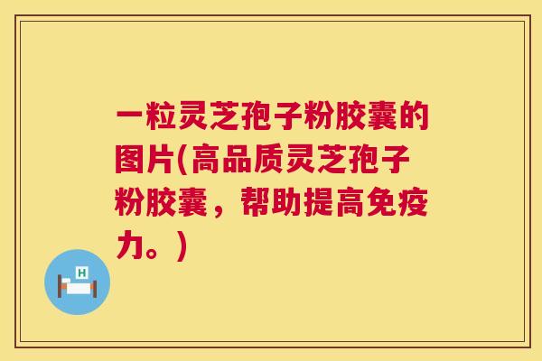 一粒灵芝孢子粉胶囊的图片(高品质灵芝孢子粉胶囊，帮助提高免疫力。)