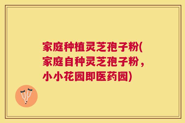 家庭种植灵芝孢子粉(家庭自种灵芝孢子粉,小小花园即医药园) 家庭种植灵芝孢子粉(家庭自种灵芝孢子粉,小小花园即医药园)