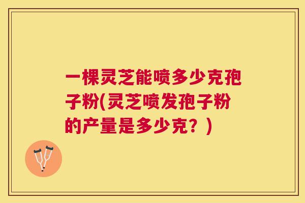 一棵灵芝能喷多少克孢子粉(灵芝喷发孢子粉的产量是多少克？)
