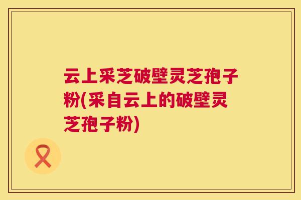 云上采芝破壁灵芝孢子粉(采自云上的破壁灵芝孢子粉) 云上采芝破壁灵芝孢子粉(采自云上的破壁灵芝孢子粉)