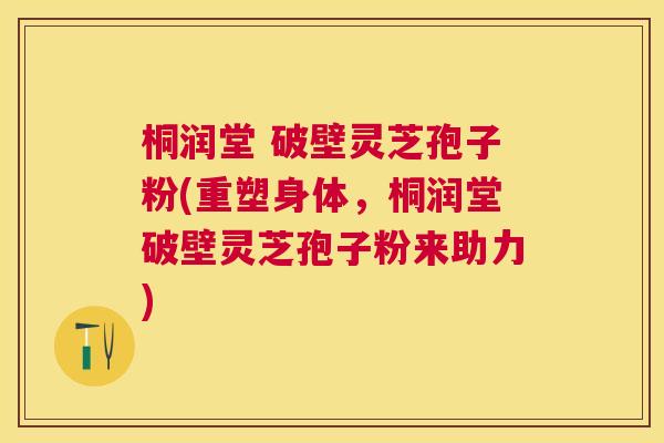 桐润堂 破壁灵芝孢子粉(重塑身体,桐润堂破壁灵芝孢子粉来助力) 桐润堂 破壁灵芝孢子粉(重塑身体,桐润堂破壁灵芝孢子粉来助力)