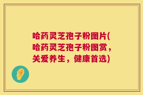 哈药灵芝孢子粉图片(哈药灵芝孢子粉图赏,关爱养生,健康首选) 哈药灵芝孢子粉图片(哈药灵芝孢子粉图赏,关爱养生,健康首选)