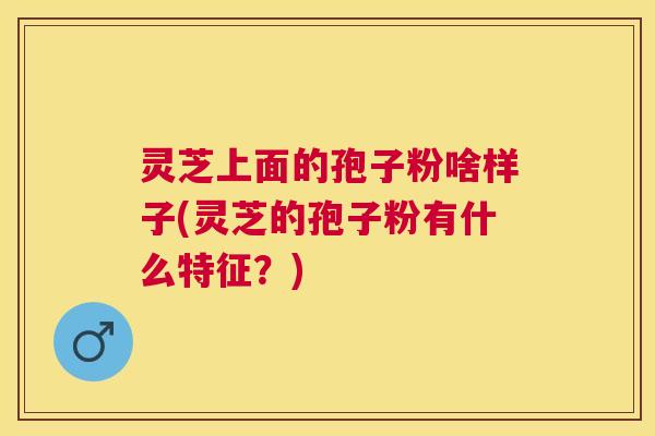 灵芝上面的孢子粉啥样子(灵芝的孢子粉有什么特征?) 灵芝上面的孢子粉啥样子(灵芝的孢子粉有什么特征?)