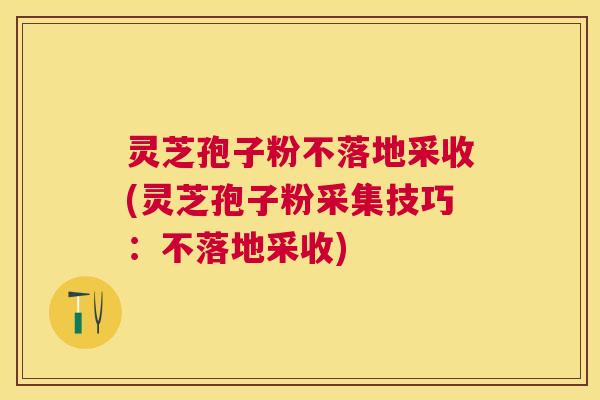 灵芝孢子粉不落地采收(灵芝孢子粉采集技巧:不落地采收) 灵芝孢子粉不落地采收(灵芝孢子粉采集技巧:不落地采收)