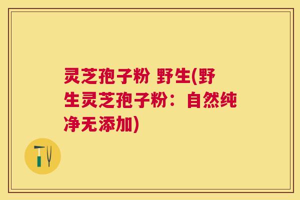 灵芝孢子粉 野生(野生灵芝孢子粉:自然纯净无添加) 灵芝孢子粉 野生(野生灵芝孢子粉:自然纯净无添加)