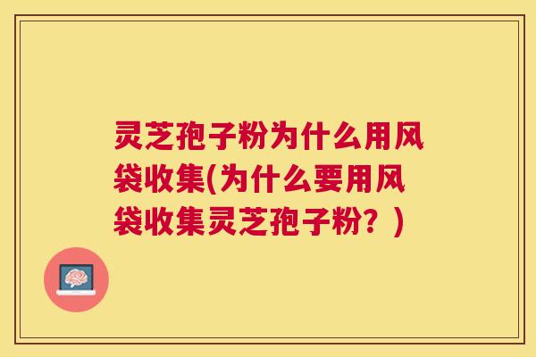 灵芝孢子粉为什么用风袋收集(为什么要用风袋收集灵芝孢子粉？)