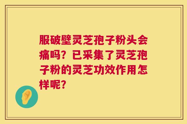 服破壁灵芝孢子粉头会痛吗?已采集了灵芝孢子粉的灵芝功效作用怎样呢? 服破壁灵芝孢子粉头会痛吗?已采集了灵芝孢子粉的灵芝功效作用怎样呢?