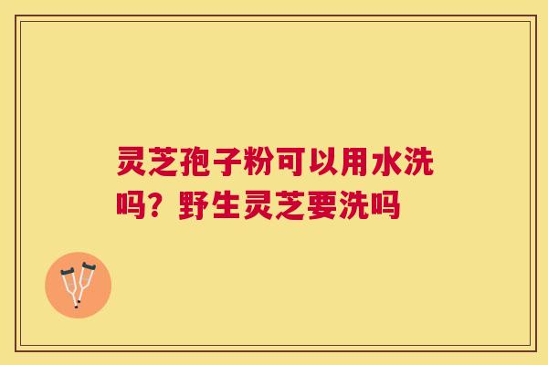 灵芝孢子粉可以用水洗吗?野生灵芝要洗吗 灵芝孢子粉可以用水洗吗?野生灵芝要洗吗
