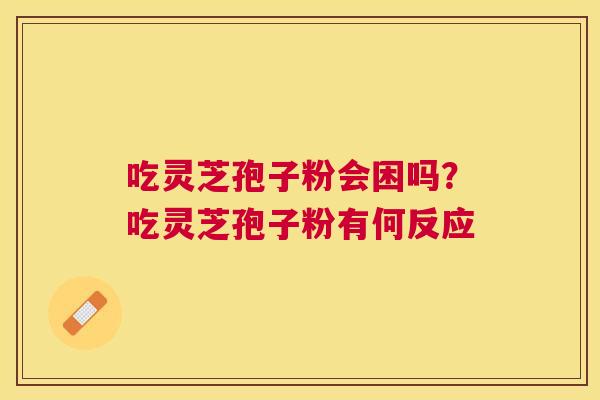吃灵芝孢子粉会困吗？吃灵芝孢子粉有何反应