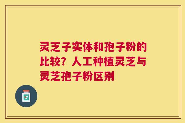灵芝子实体和孢子粉的比较？人工种植灵芝与灵芝孢子粉区别