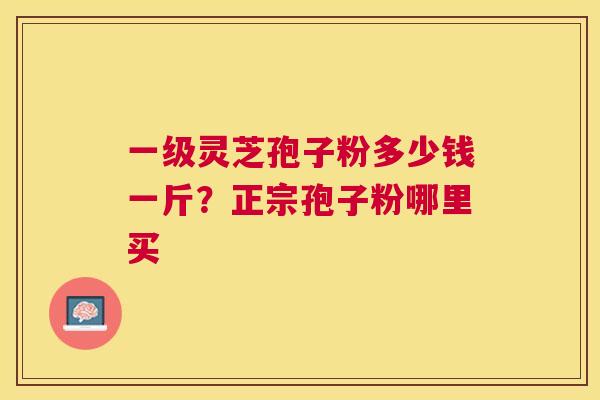 一级灵芝孢子粉多少钱一斤？正宗孢子粉哪里买