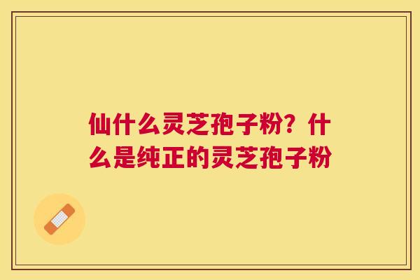 仙什么灵芝孢子粉？什么是纯正的灵芝孢子粉