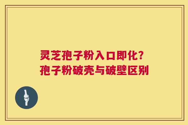 灵芝孢子粉入口即化？孢子粉破壳与破壁区别