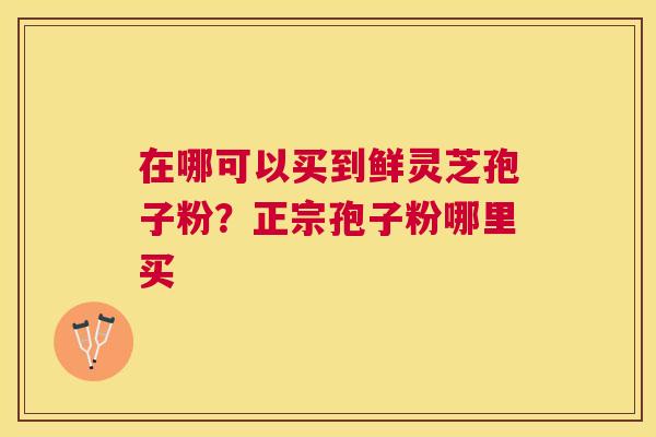 在哪可以买到鲜灵芝孢子粉?正宗孢子粉哪里买 在哪可以买到鲜灵芝孢子粉?正宗孢子粉哪里买