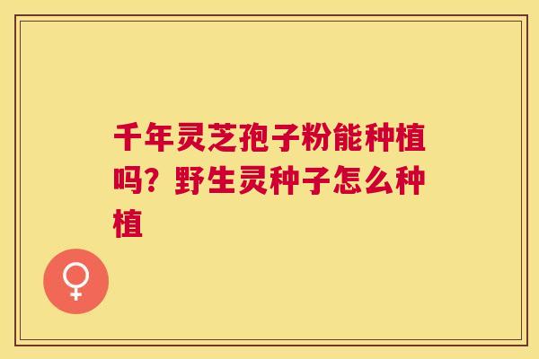 千年灵芝孢子粉能种植吗?野生灵种子怎么种植 千年灵芝孢子粉能种植吗?野生灵种子怎么种植