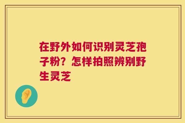 在野外如何识别灵芝孢子粉？怎样拍照辨别野生灵芝