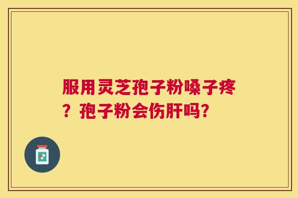 服用灵芝孢子粉嗓子疼?孢子粉会伤吗? 服用灵芝孢子粉嗓子疼?孢子粉会伤吗?