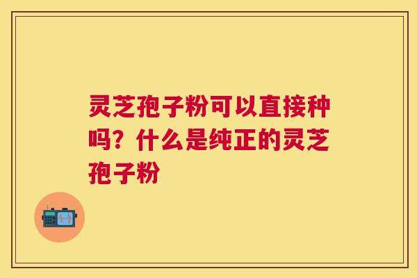 灵芝孢子粉可以直接种吗？什么是纯正的灵芝孢子粉