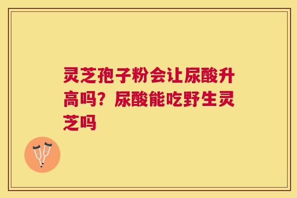 灵芝孢子粉会让尿酸升高吗？尿酸能吃野生灵芝吗