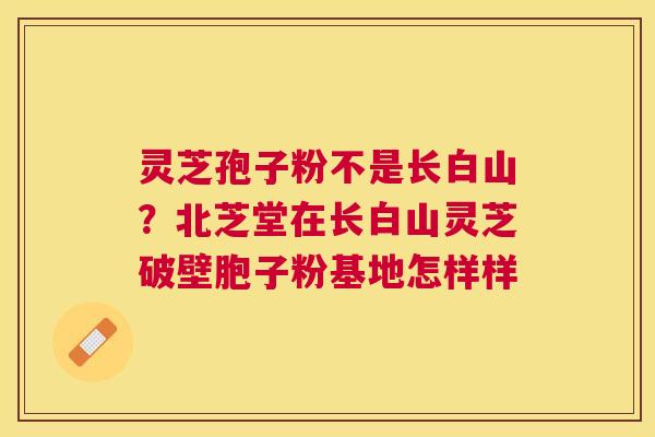灵芝孢子粉不是长白山？北芝堂在长白山灵芝破壁胞子粉基地怎样样