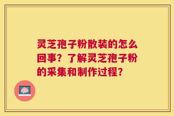 灵芝孢子粉散装的怎么回事？了解灵芝孢子粉的采集和制作过程？