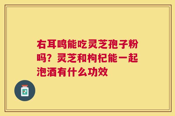 右耳鸣能吃灵芝孢子粉吗?灵芝和枸杞能一起泡酒有什么功效 右耳鸣能吃灵芝孢子粉吗?灵芝和枸杞能一起泡酒有什么功效
