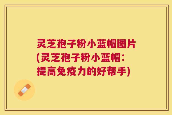 灵芝孢子粉小蓝帽图片(灵芝孢子粉小蓝帽:提高免疫力的好帮手) 灵芝孢子粉小蓝帽图片(灵芝孢子粉小蓝帽:提高免疫力的好帮手)