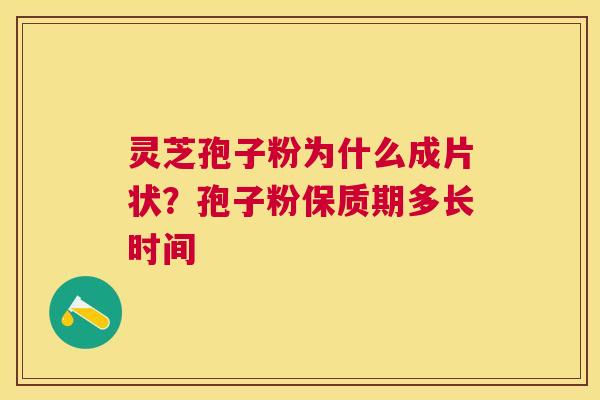 灵芝孢子粉为什么成片状？孢子粉保质期多长时间