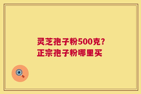 灵芝孢子粉500克?正宗孢子粉哪里买 灵芝孢子粉500克?正宗孢子粉哪里买