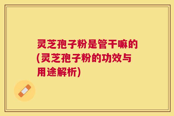 灵芝孢子粉是管干嘛的(灵芝孢子粉的功效与用途解析)