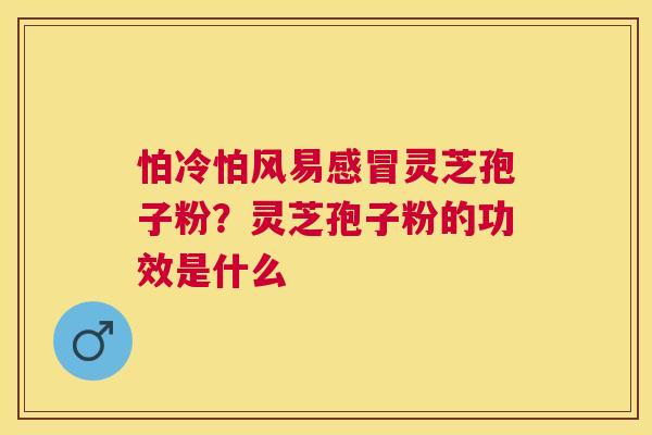 怕冷怕风易灵芝孢子粉?灵芝孢子粉的功效是什么 怕冷怕风易灵芝孢子粉?灵芝孢子粉的功效是什么