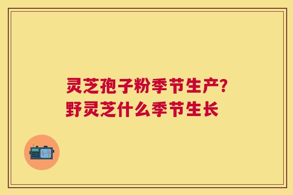 灵芝孢子粉季节生产？野灵芝什么季节生长