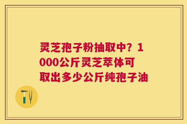 灵芝孢子粉抽取中?1000公斤灵芝萃体可取出多少公斤纯孢子油 灵芝孢子粉抽取中?1000公斤灵芝萃体可取出多少公斤纯孢子油