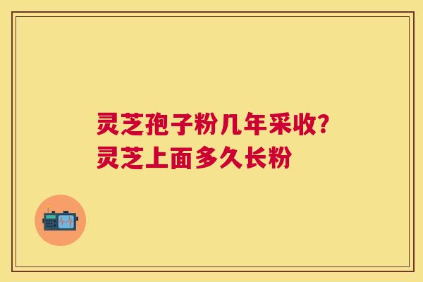 灵芝孢子粉几年采收？灵芝上面多久长粉