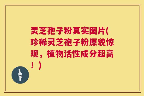 灵芝孢子粉真实图片(珍稀灵芝孢子粉原貌惊现，植物活性成分超高！)