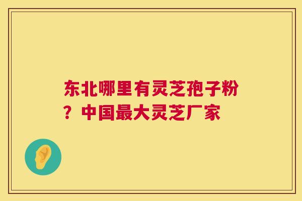 东北哪里有灵芝孢子粉？中国大灵芝厂家