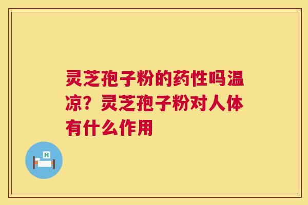 灵芝孢子粉的吗温凉？灵芝孢子粉对人体有什么作用