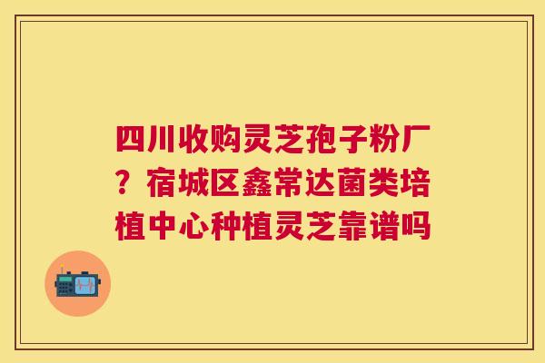 四川收购灵芝孢子粉厂?宿城区鑫常达菌类培植中心种植灵芝靠谱吗 四川收购灵芝孢子粉厂?宿城区鑫常达菌类培植中心种植灵芝靠谱吗