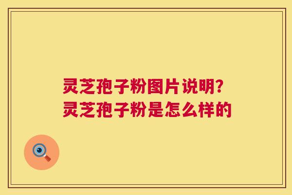 灵芝孢子粉图片说明?灵芝孢子粉是怎么样的 灵芝孢子粉图片说明?灵芝孢子粉是怎么样的