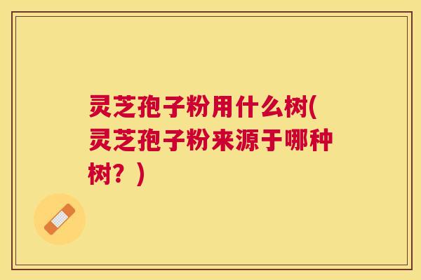 灵芝孢子粉用什么树(灵芝孢子粉来源于哪种树?) 灵芝孢子粉用什么树(灵芝孢子粉来源于哪种树?)