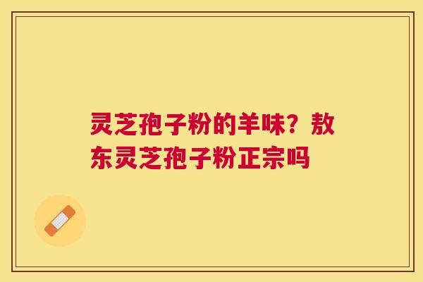 灵芝孢子粉的羊味？敖东灵芝孢子粉正宗吗