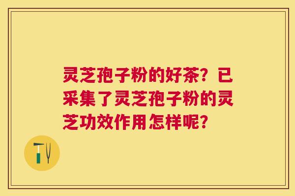 灵芝孢子粉的好茶?已采集了灵芝孢子粉的灵芝功效作用怎样呢? 灵芝孢子粉的好茶?已采集了灵芝孢子粉的灵芝功效作用怎样呢?
