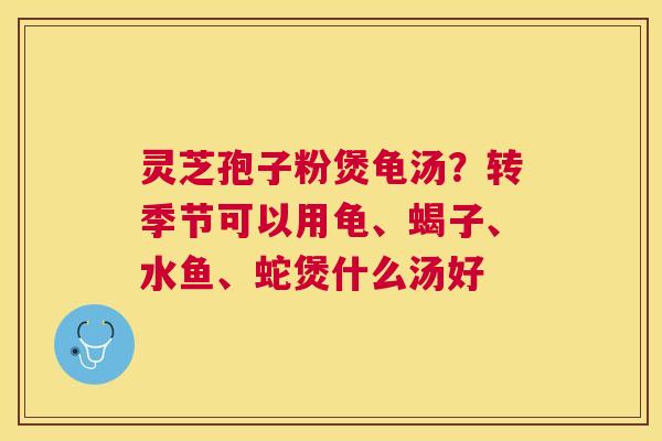 灵芝孢子粉煲龟汤？转季节可以用龟、蝎子、水鱼、蛇煲什么汤好