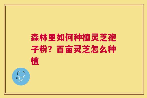 森林里如何种植灵芝孢子粉?百亩灵芝怎么种植 森林里如何种植灵芝孢子粉?百亩灵芝怎么种植