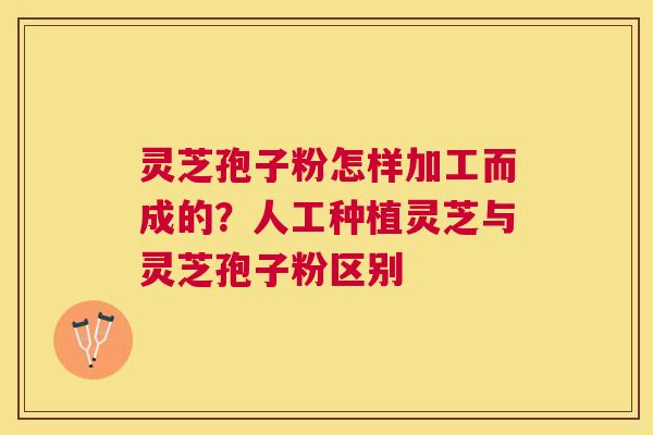 灵芝孢子粉怎样加工而成的？人工种植灵芝与灵芝孢子粉区别